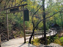 -蟠龙山长城景区