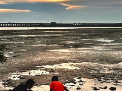 -宝安西湾红树林湿地公园