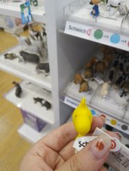 -Kidsland(凯德1818店)