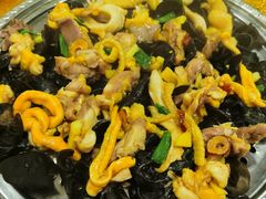 公野桑拿鸡-公野祥鸡鲍翅