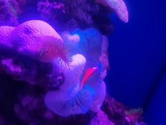 -石家庄海洋公园