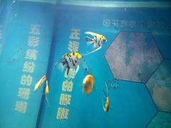 -福州罗源湾海洋世界旅游区