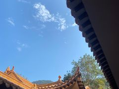 -深圳仙湖植物园