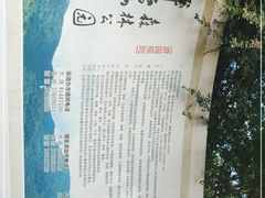 -阳台山森林公园