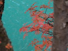 -叠溪松坪沟景区