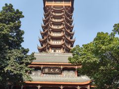 -塔子山公园