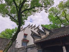 -天一阁博物院
