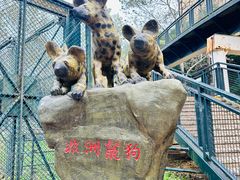 -大连森林动物园