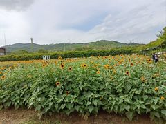 -盈香心动乐园