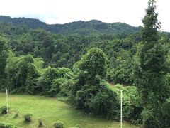 -雅安楠水阁温泉酒店