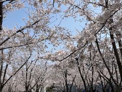 -龙美术馆(西岸馆)