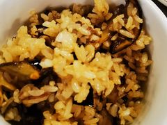 -易门野生菌府·菌海森林(月牙潭公园店)