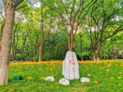 -红梅公园