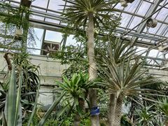 -国家植物园南园