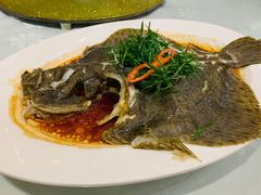 清蒸青斑鱼-京粤荟(海王银河科技大厦店)