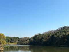 -福建鲤鱼洲酒店