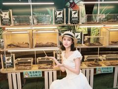 -正佳雨林生态植物园