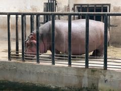 -石家庄市动物园