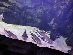 -泉城欧乐堡海洋极地世界