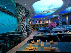 -瑞德姆美人鱼海底演艺主题餐厅(亚龙湾店)
