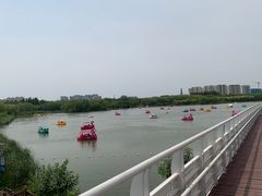 -大兴滨河森林公园