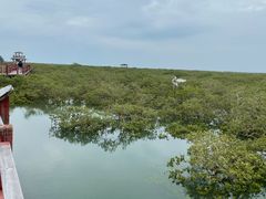 -北海金海湾红树林生态旅游区