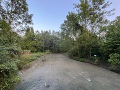 -桤木河湿地公园