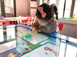 -动力星球家庭亲子游乐中心