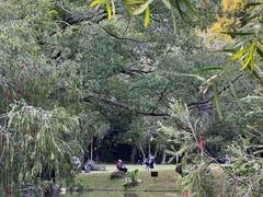 -人民公园(罗湖区)