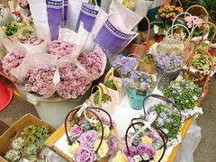-循礼门鲜花花市(武汉循礼门店)