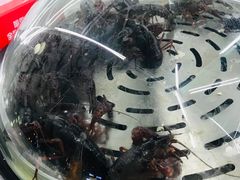 -海岸风情蒸汽海鲜自助餐厅(家宴金手勺店)
