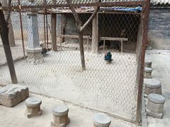 -罔极寺