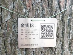 -庐山风景区花径公园