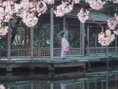 -西湖外事游船(花港观鱼码头)