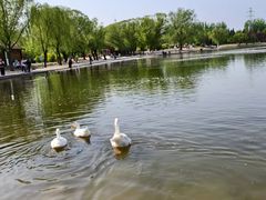 -太阳宫公园