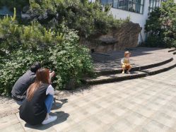 -小苹果儿童摄影(崇安店)