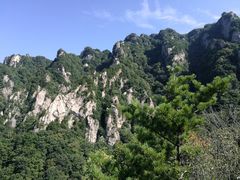 -王顺山国家森林公园