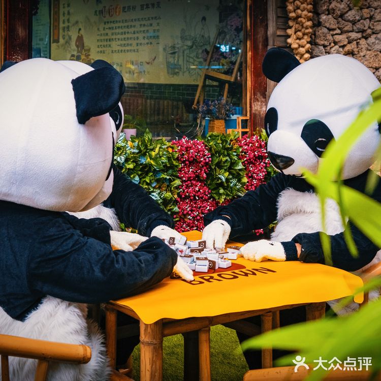 遇见藏羌印象丨情迷九寨千古情