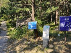 -北京鹫峰国家森林公园
