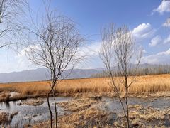 -野鸭湖国家湿地公园