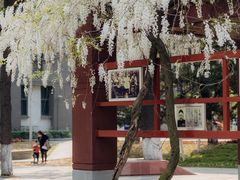 -四川大学(望江校区)
