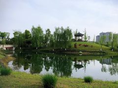 -眉山湿地公园(东坡区)