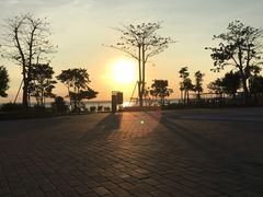 -硇洲岛旅游区