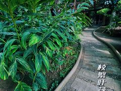 -石家庄市植物园