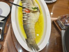 -鲁宴·鲁煨黄河生态大鲤鱼(月坛店)