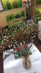 -艺米阳光Hair Salon