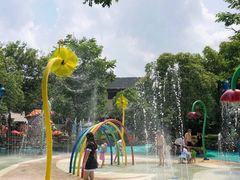 -苏州乐园森林水世界