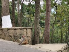 -黔灵山公园