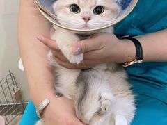-美迦爱-牙专科·兔科·骨科诊疗中心(北苑店)