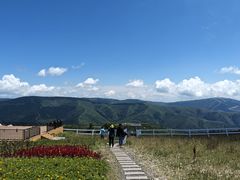 -密苑云顶乐园